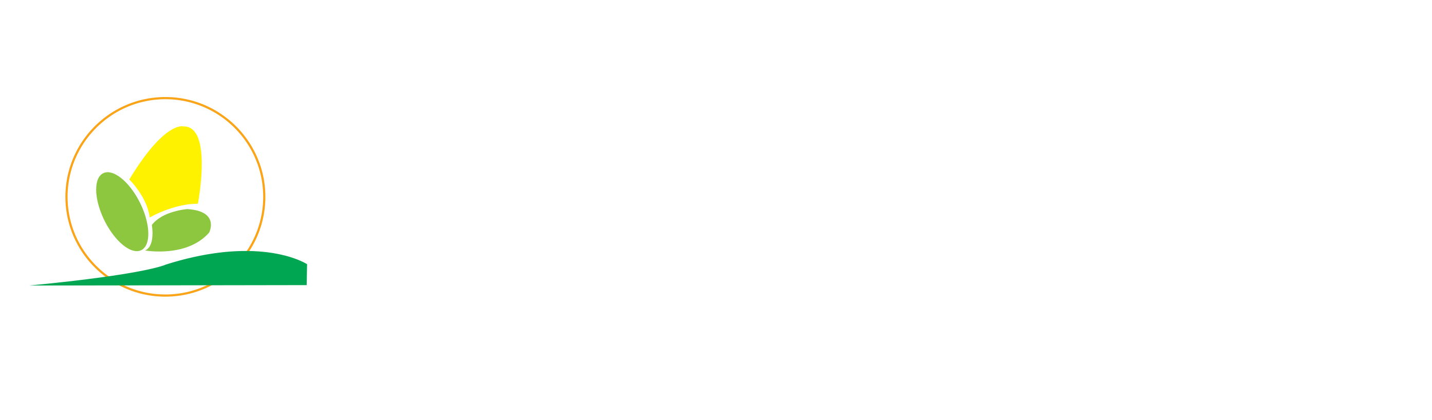 Mexican Corn Products